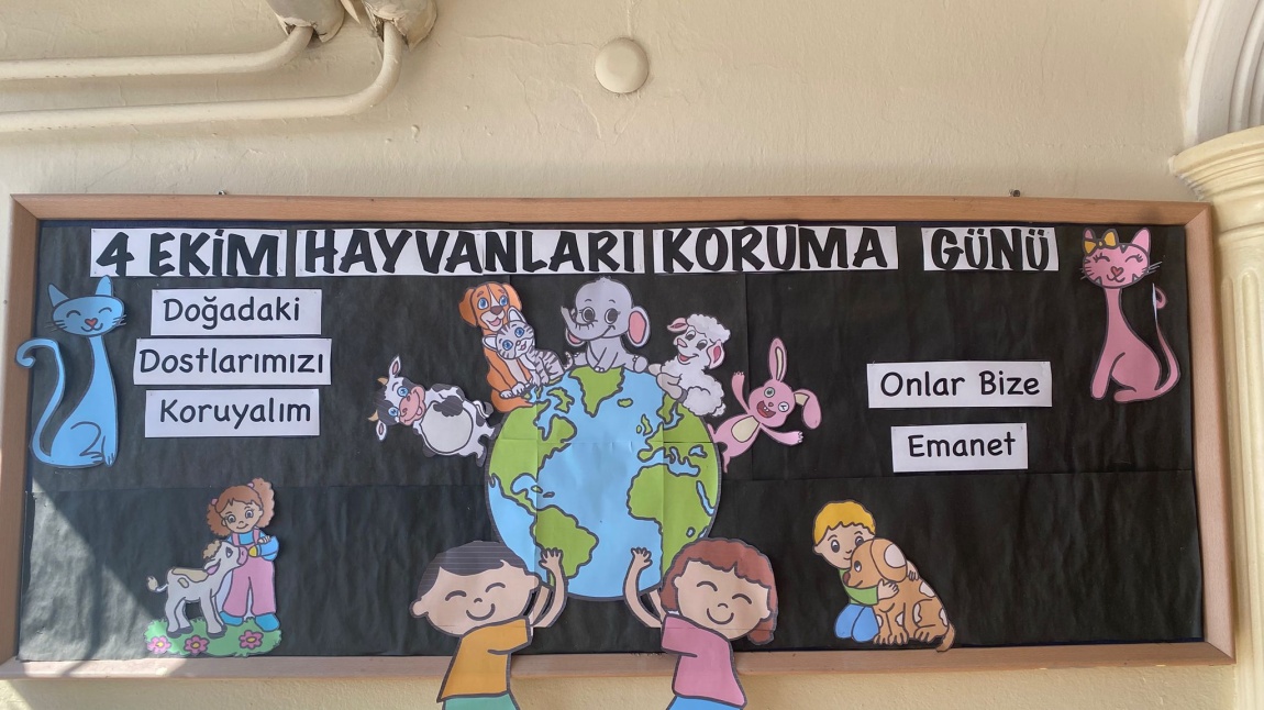 4 Ekim Hayvanları Koruma Günü